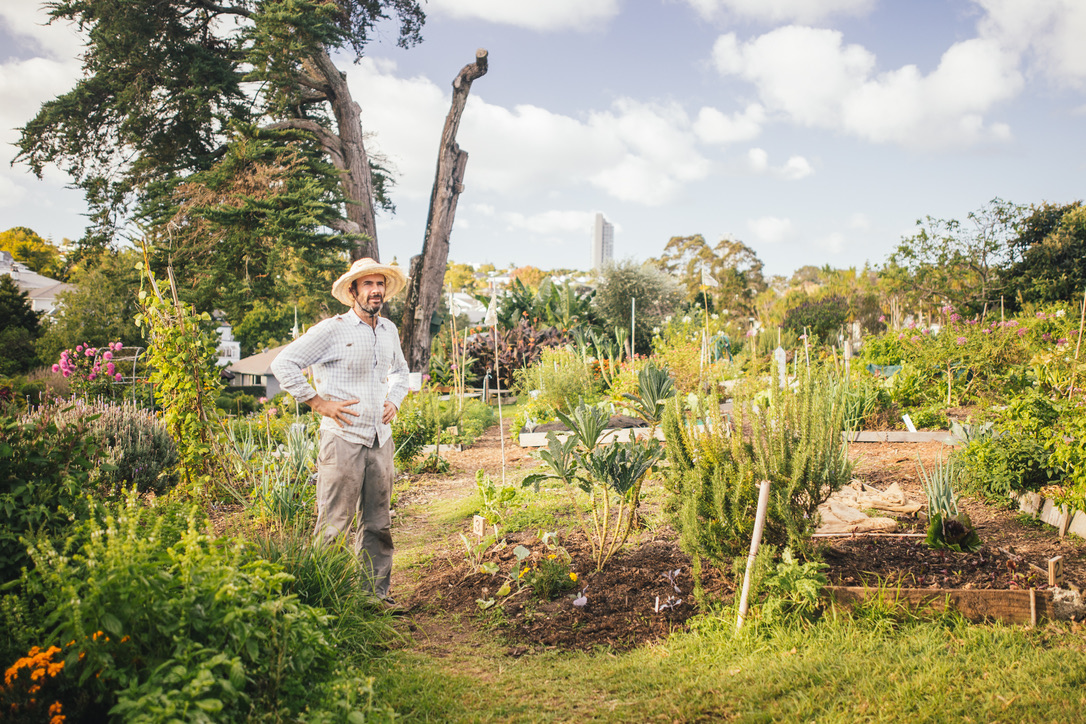 Kelmarna Gardens — a 4.5 acre city-owned farm and organic community garden in Ponsonby, Auckland — is dedicated to building a healthy community and environment and promoting sustainable living. (Image courtesy of EcoMatters Environmental Trust)