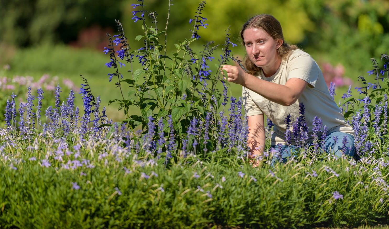Nora Palmer, 21, works at Hershey Gardens in Hershey, Pa., on July 19. “Everything you do in horticulture is wonderful,” Palmer said. “Almost magical.” (Jim Graham/For The Washington Post)