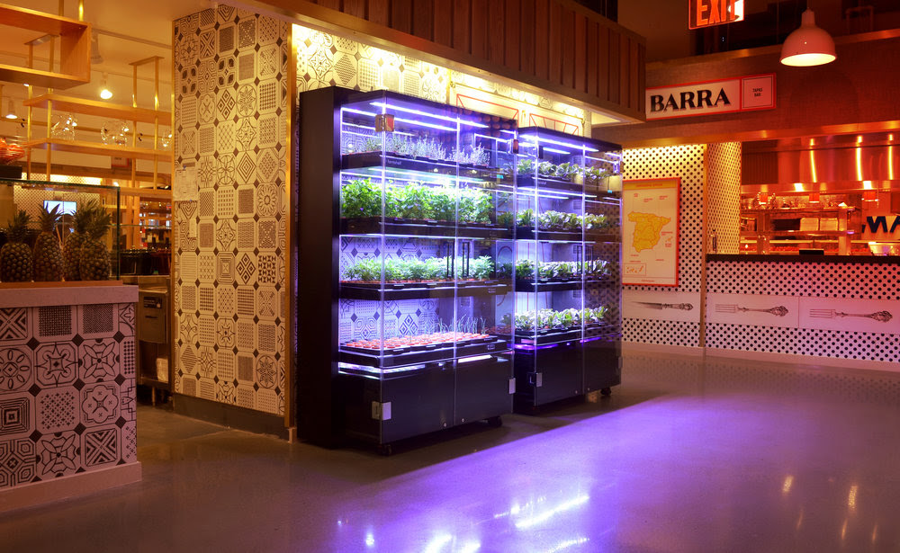 Mercado Little Spain, Hudson Yards NYC