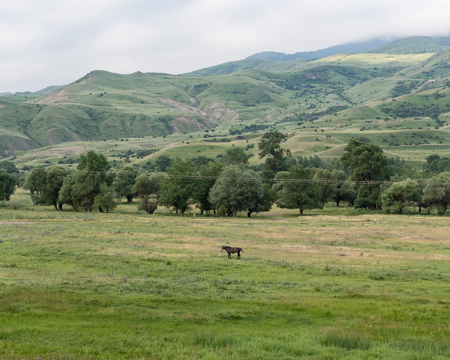 Pasture lands and potato farms dominate Javakheti, a mountainous region in southern Georgia.