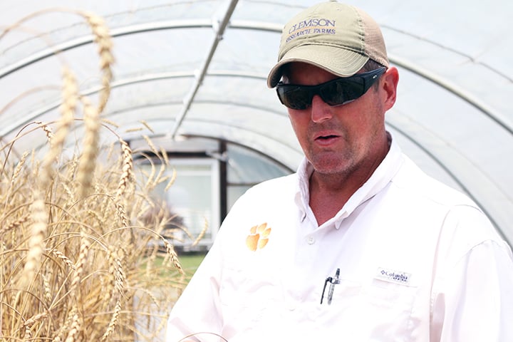 Brian Ward is an organic vegetable specialist at Clemson’s Coastal Research and Education Center in Charleston.Image Credit: Clemson University Relations