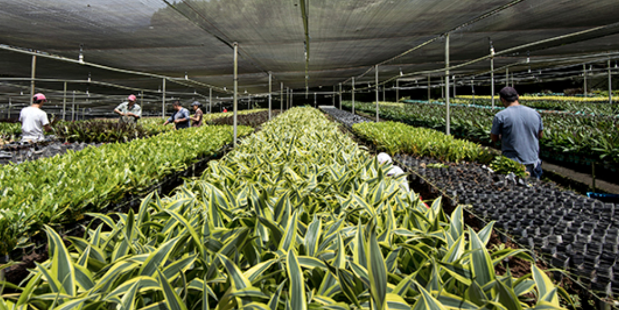 Image sourced from the Food and Agriculture Organization of the United Nations