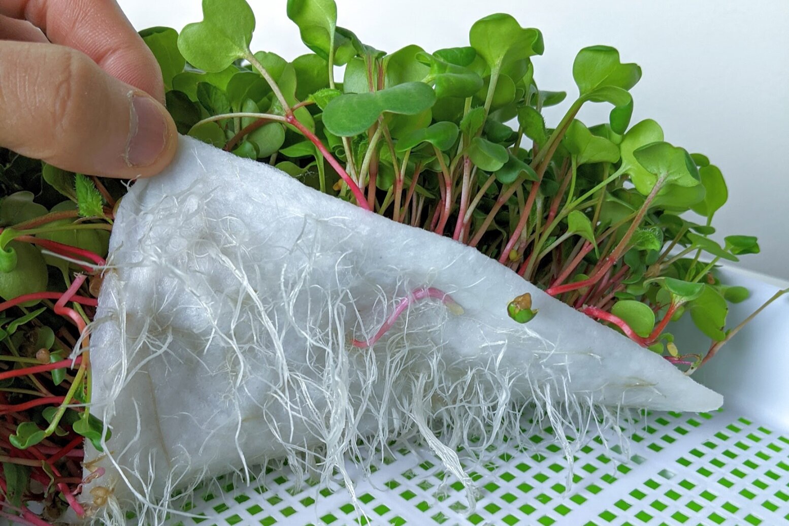 image3.png