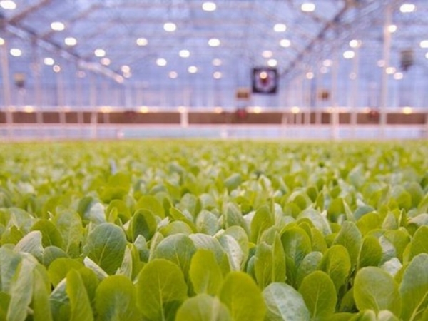 indoor2.jpg