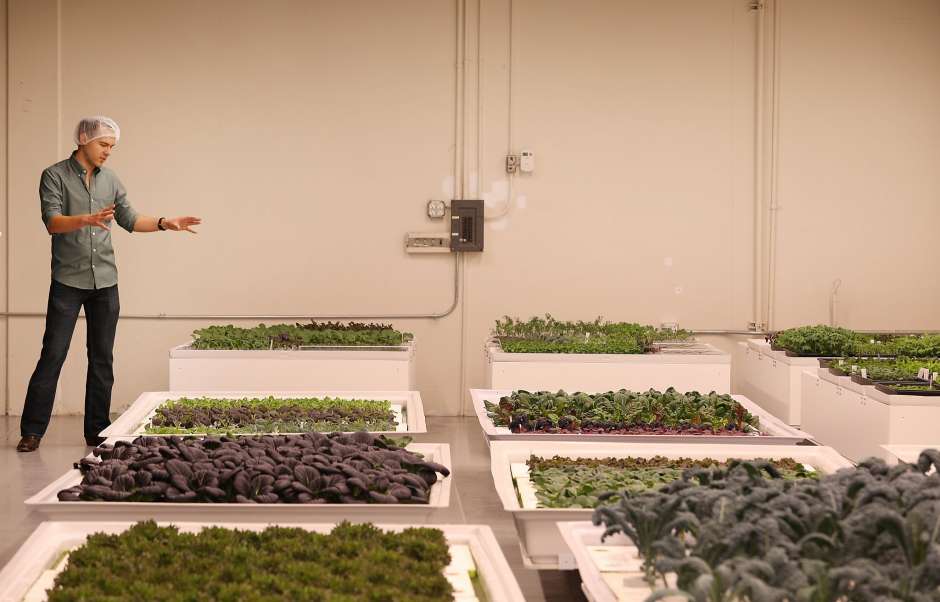 Brandon Alexander, co-founder Iron Ox, stands next to containers growing different vegetables at Iron Ox on Tuesday, October 2, 2018 in San Carlos, Calif. (Photo: Lea Suzuki, The Chronicle)