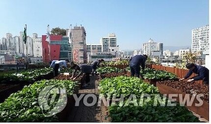 Image sourced from City Farmer News