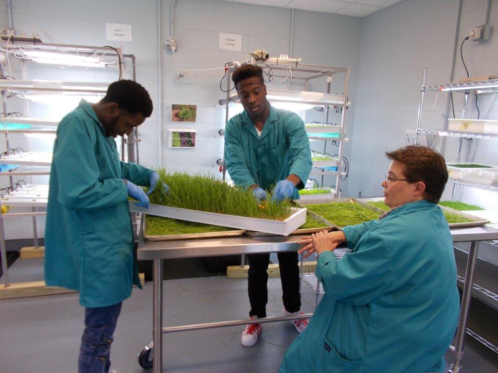 kids and wheatgrass.jpg