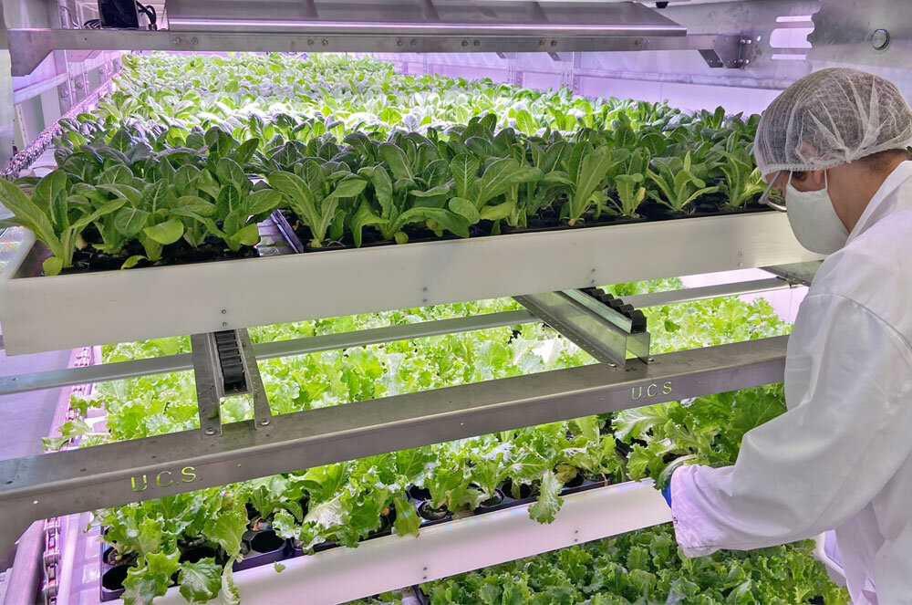 Image sourced from Urban Crop Solutions