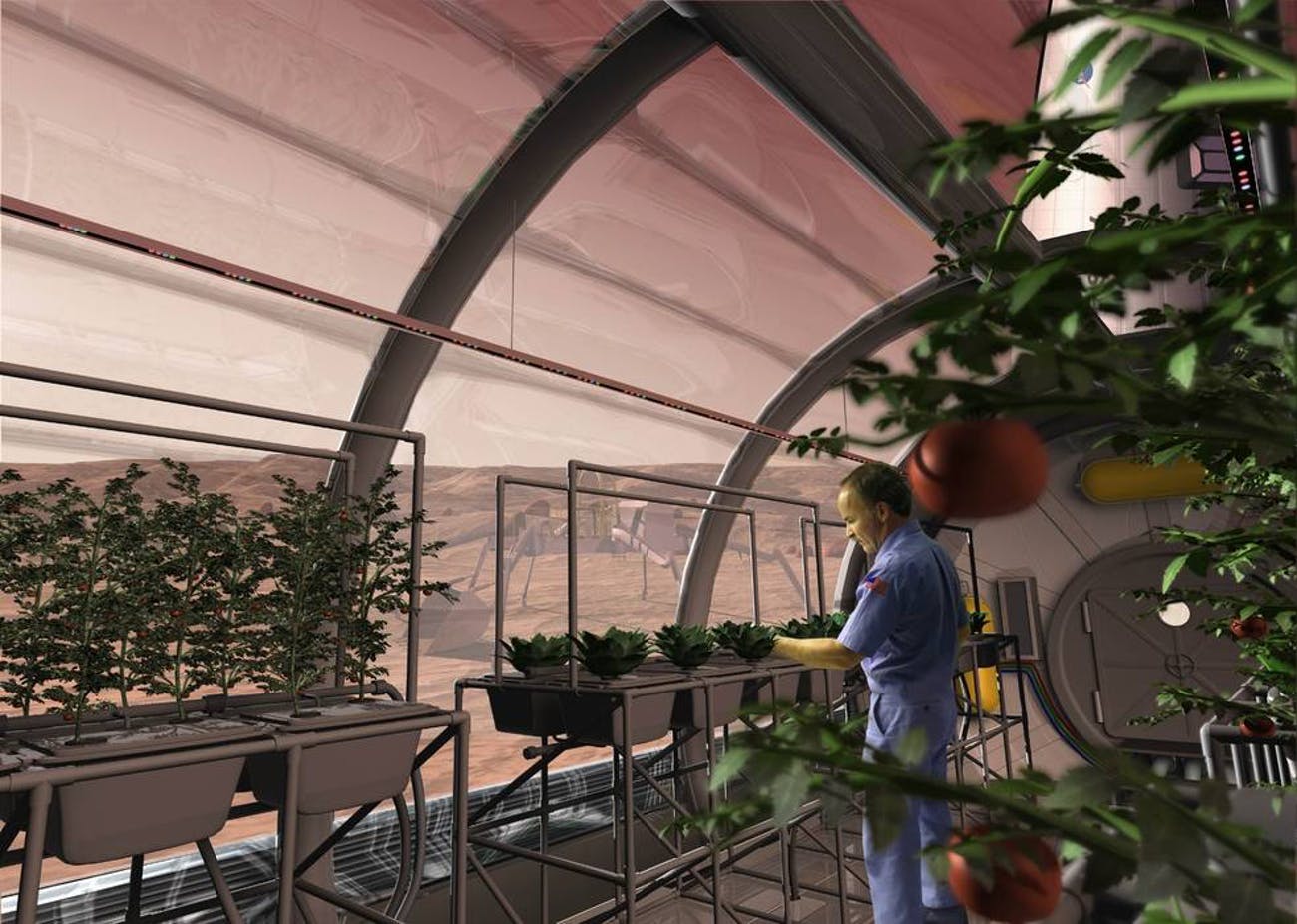 nasas-vision-of-hydroponics-on-mars.jpeg