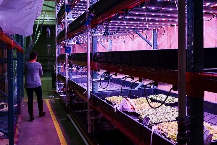 Inside Planted’s 6,000-square-foot production space