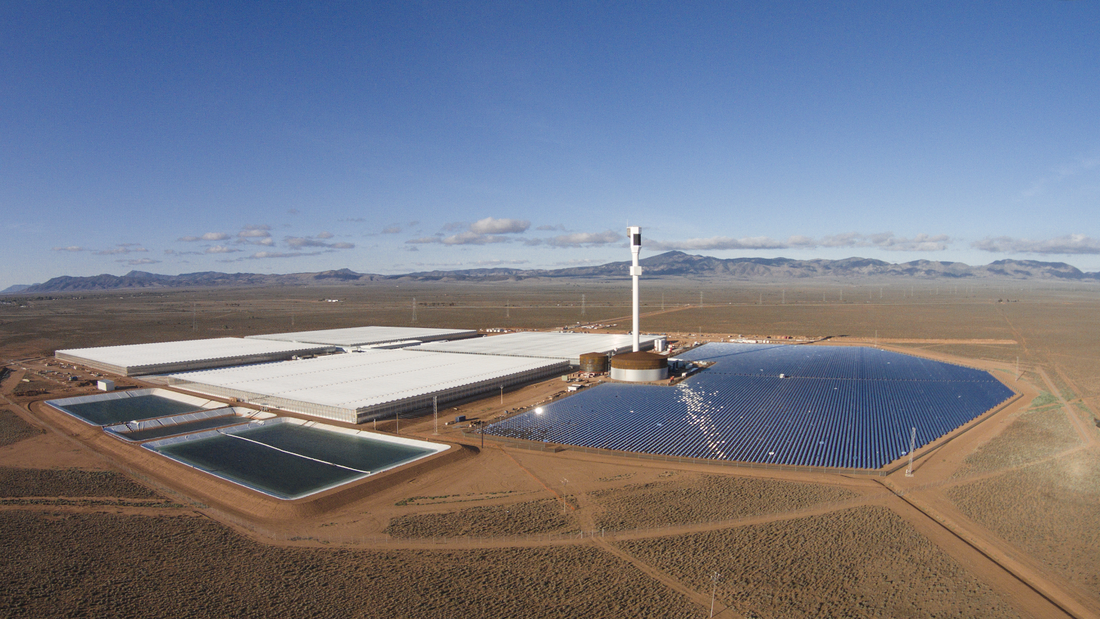 Sundrop Farms’ greenhouse facility in South Australia. Solar energy generated on site is used to power the facility, and a thermal desalination plant converts seawater from the nearby Spencer Gulf into freshwater for crops. The facility is expected …