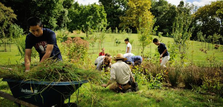 planting-at-bartram-s-community-farm.0.112.1200.574.752.360.c.jpg