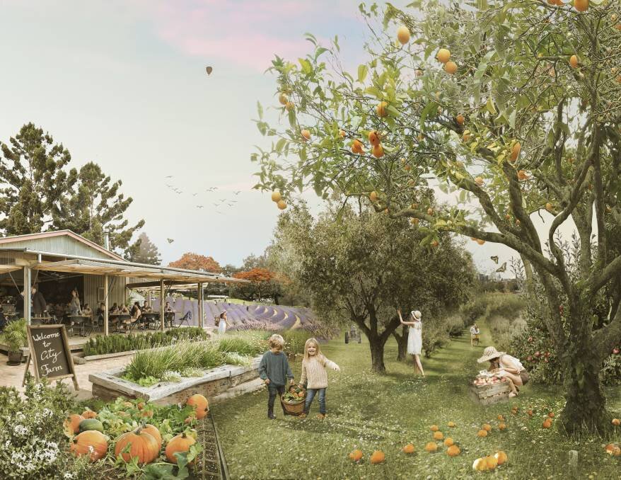 IDEA: An artist's concept of what an urban farm could look like within Brisbane; image sourced from Good Fruit and Vegetables