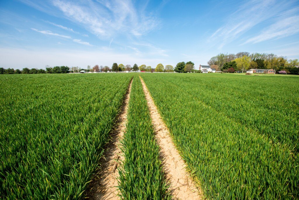 Image sourced from FarmRaise