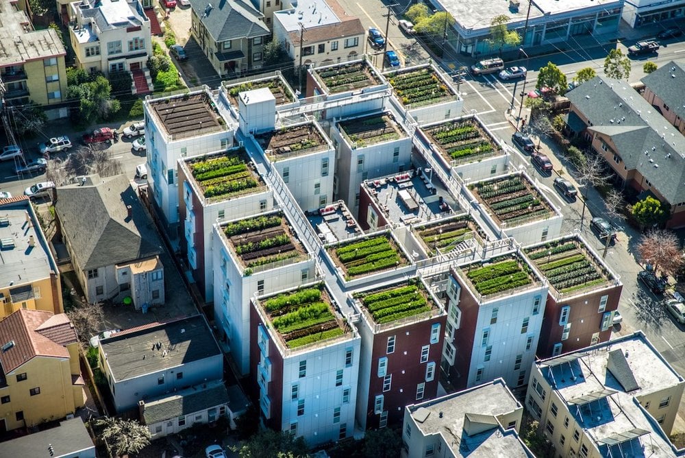 rooftop farm what to know.jpg