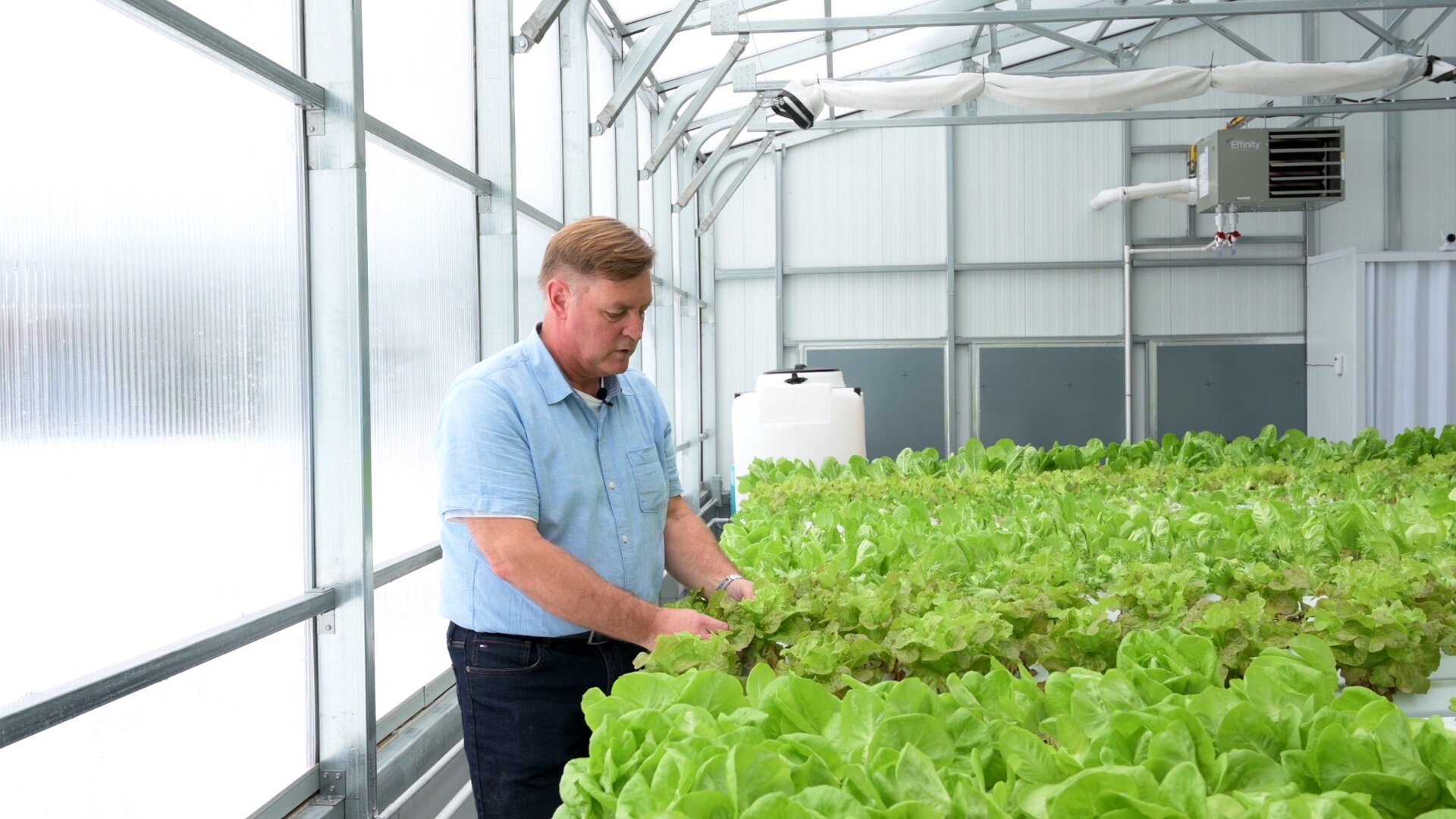 Image sourced from Ceres Greenhouse Solutions