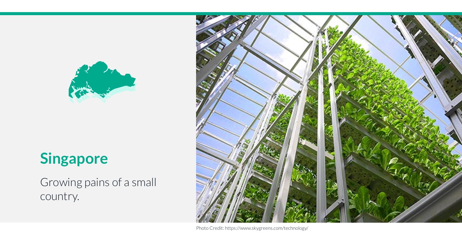 singapore vertical farming.jpeg