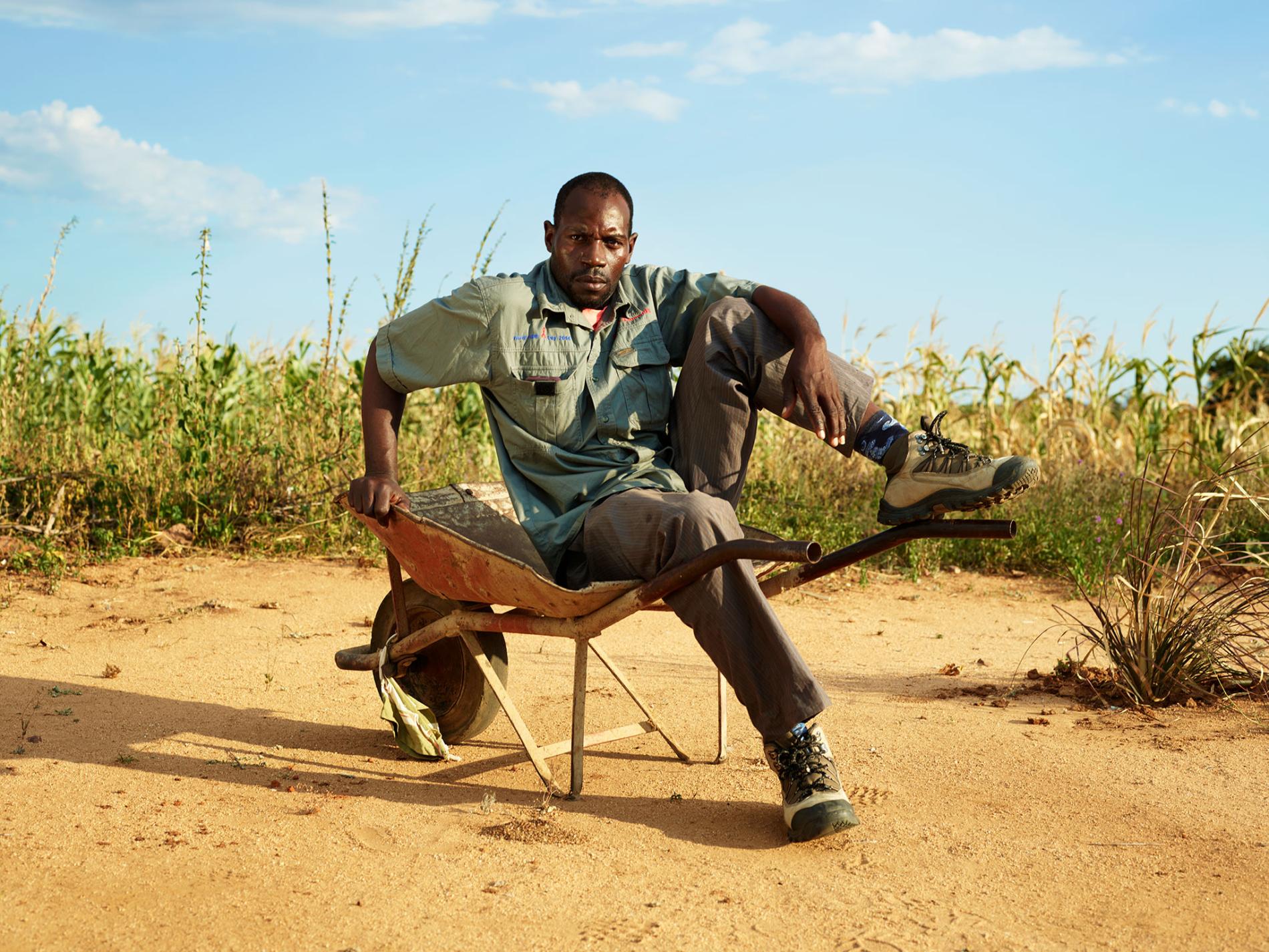 Drought in Zimbabwe has forced farmers like Austin Mugiya to look for new crops that can endure tough conditions.