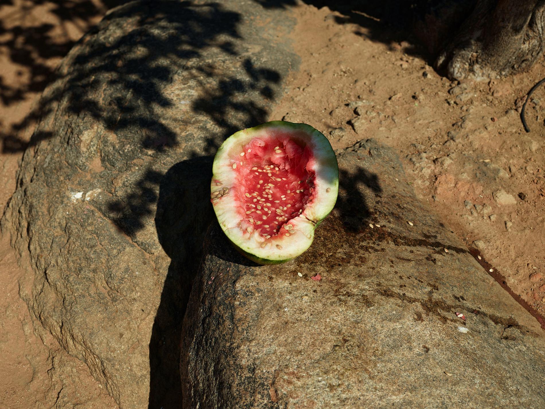 They've returned to cultivating native varieties of small grains, such as millets and sorghum, suited to the terrain.