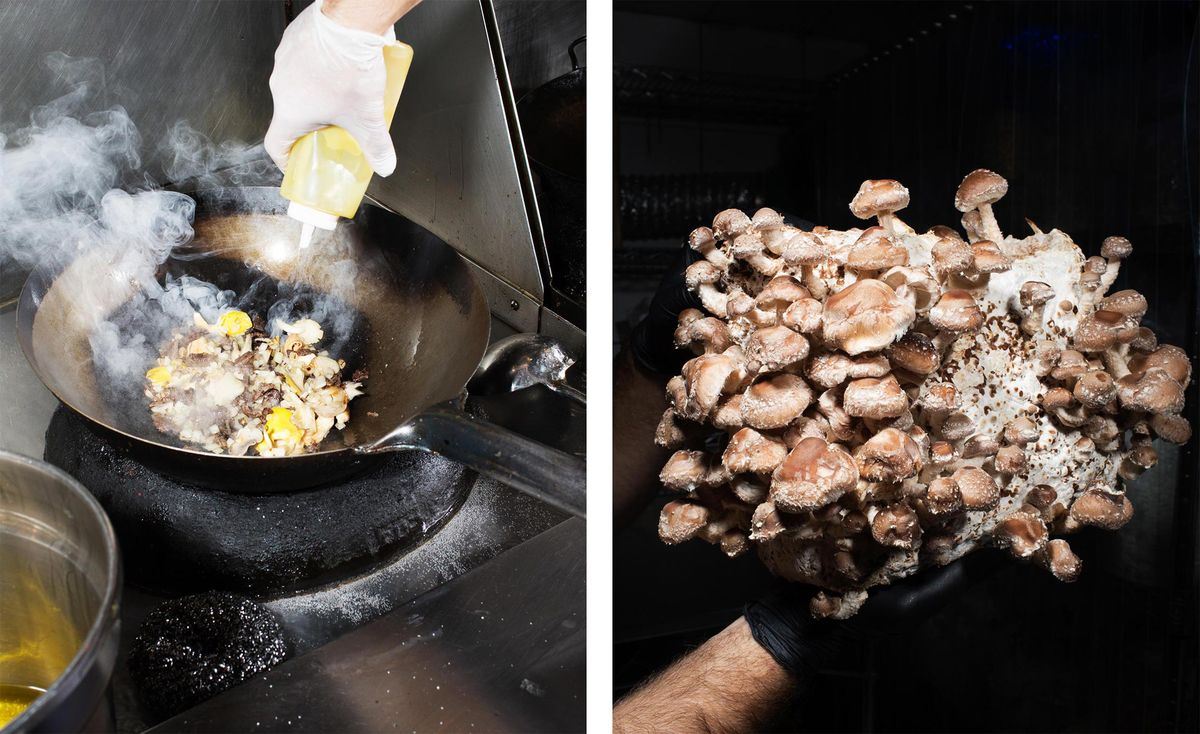 Smallhold-grown mushrooms in a fried rice dish at Mission Chinese. (Photographer: Adrienne Grunwald for Bloomberg)