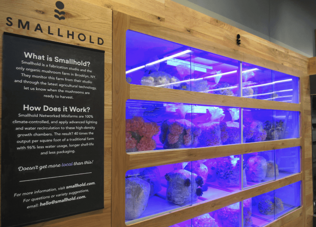 Image of Smallhold’s in-store mushroom display at Whole Foods New Jersey; image sourced from Smallhold