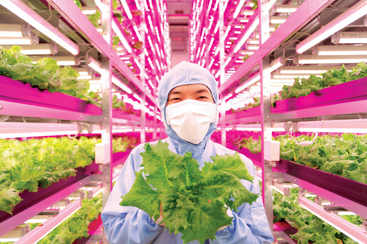 Spread Inc., the largest Plant Factory in the world.