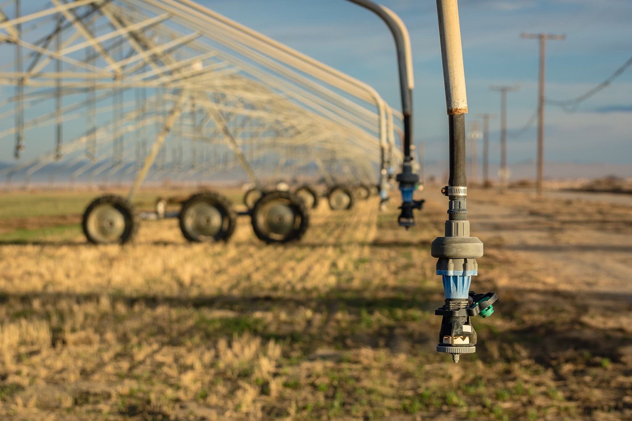 A center-pivot irrigation system in Southern California. According to NOAA (National Oceanic and Atmospheric Administration), as of mid-July, 2021, 89% of the U.S. West was in drought and 25% was in exceptional drought conditions. Photo: Steve Harvey/ Unsplash