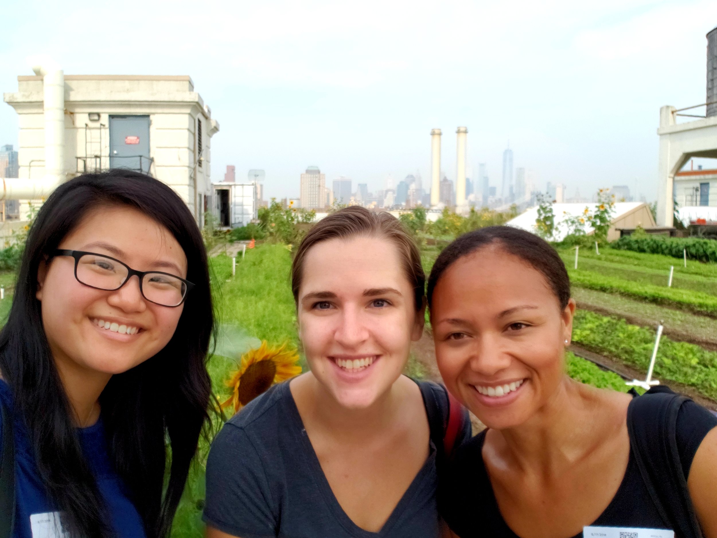Tinia Pina of Re-Nuble (right), on a tour of Brooklyn Grange Farm with interns Shirley (left) and Lena (center).