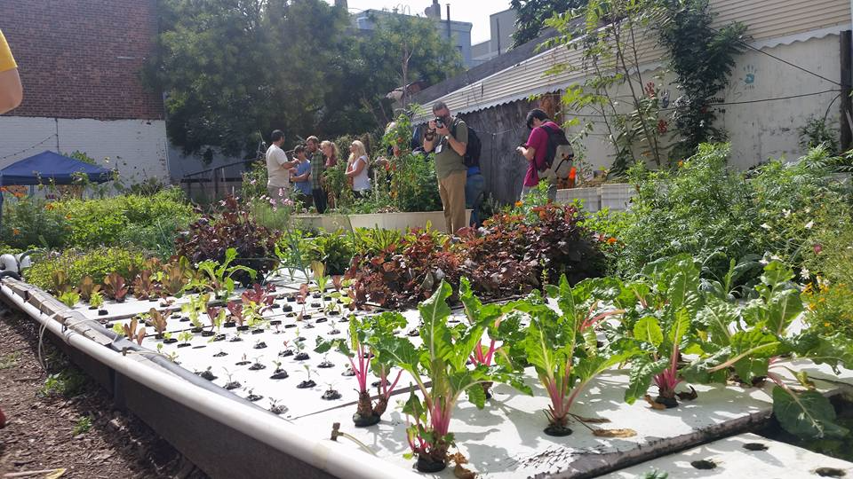 Image: AgTech Week 2016 participants on an NYC farm tour