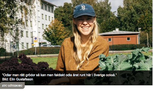 “I want you to bring the whole family with you to see where the vegetables come from and thus connect to the food you eat.” - Grower