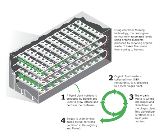 Figure 4. (Photo Credit: IKEA, source “Ikea now grows lettuce in shipping containers at its stores”).