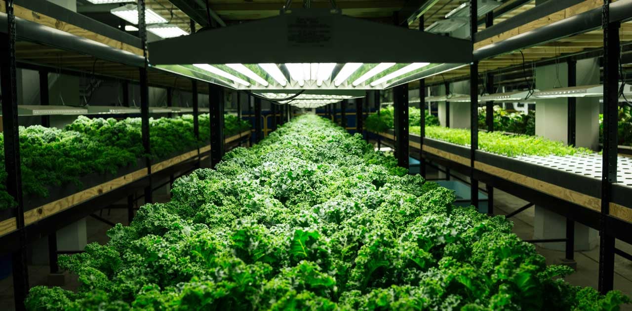urban+farming+future+of+agriculture.jpg
