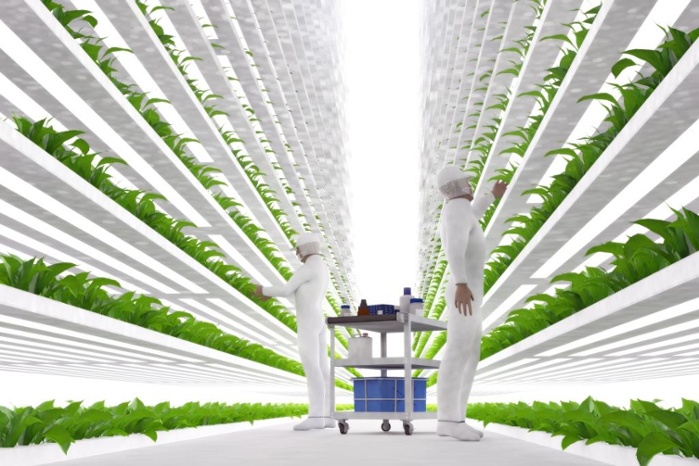 vertical farming on the rise.jpg