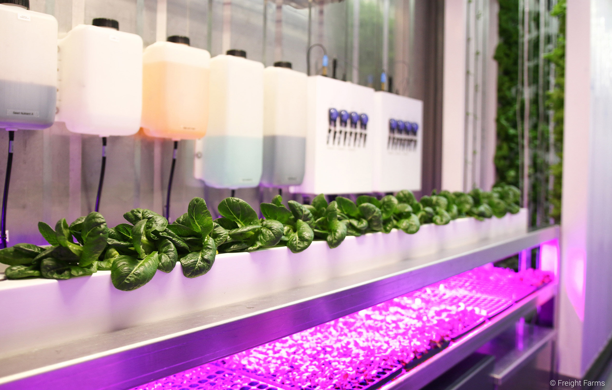 video-freight-farms-urban-farming-design-mini-living-movie_dezeen_2364_col_12.jpg