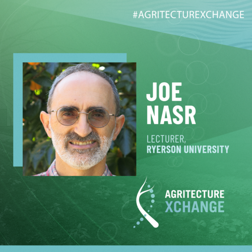 Joe Nasr