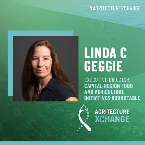 Linda C Geggie