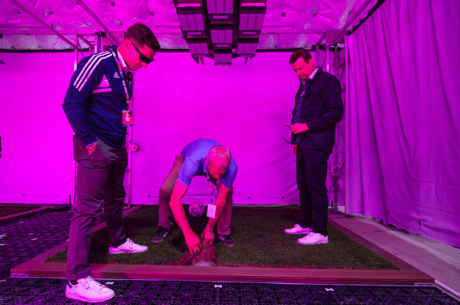 World cup grass