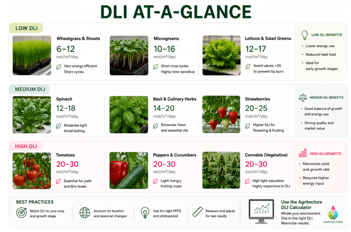 Daily Light Integral Greenhouse