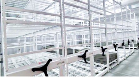 A series of Montel growing racks