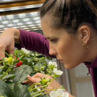 Untitled design (53)