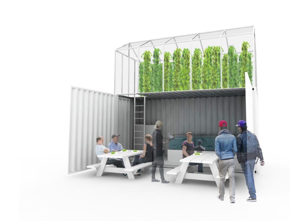baltimore+agritecture+workshop