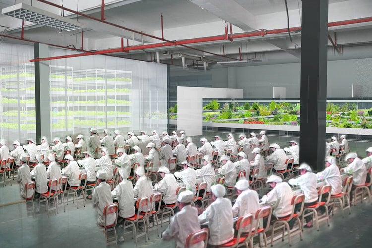 foxconn+vertical+farm-1