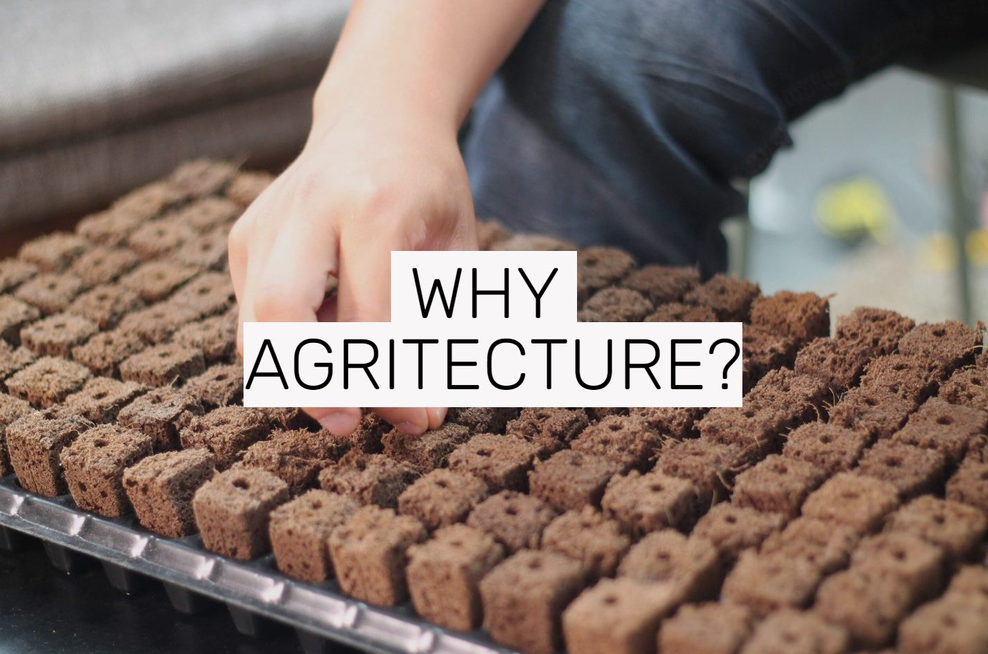 Agritecture Studios — AGRITECTURE
