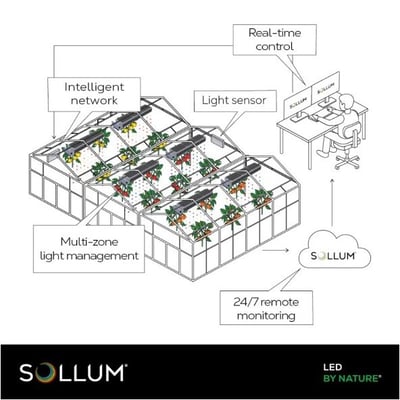 sollum+lighting+illustration