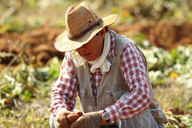 straw-hat-2120656_1280
