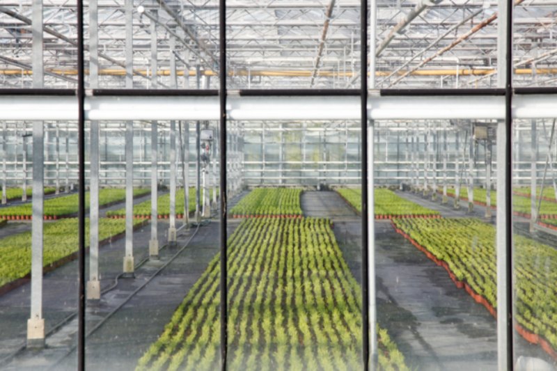 Sydney high-tech horticulture research