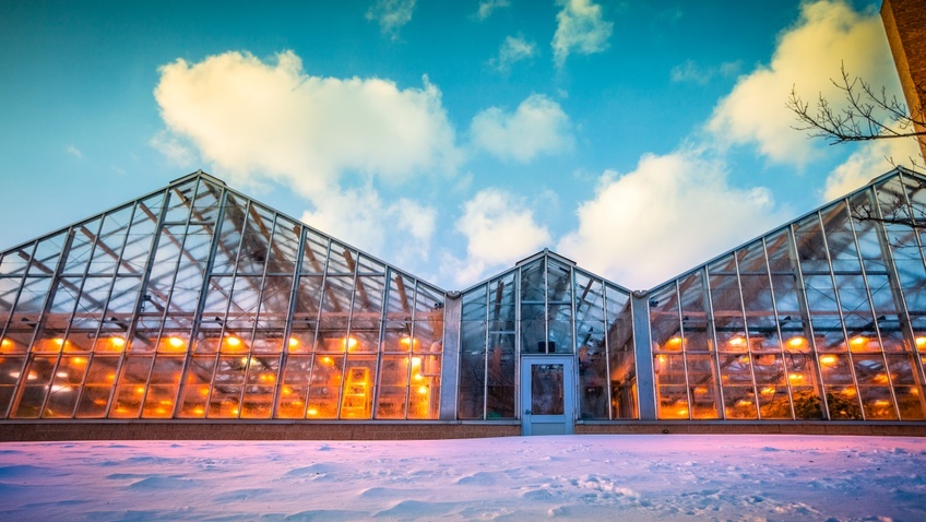 CEA Works: Training Program to Upskill Growers