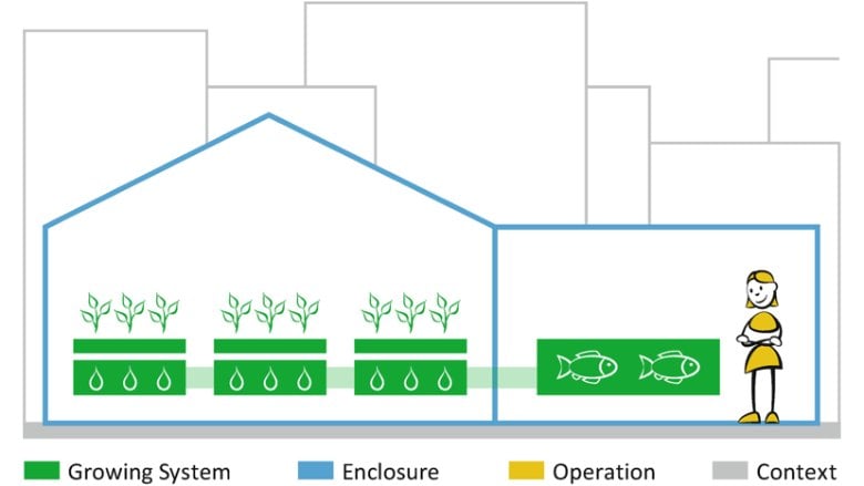 Aquaponics in the Built Environment