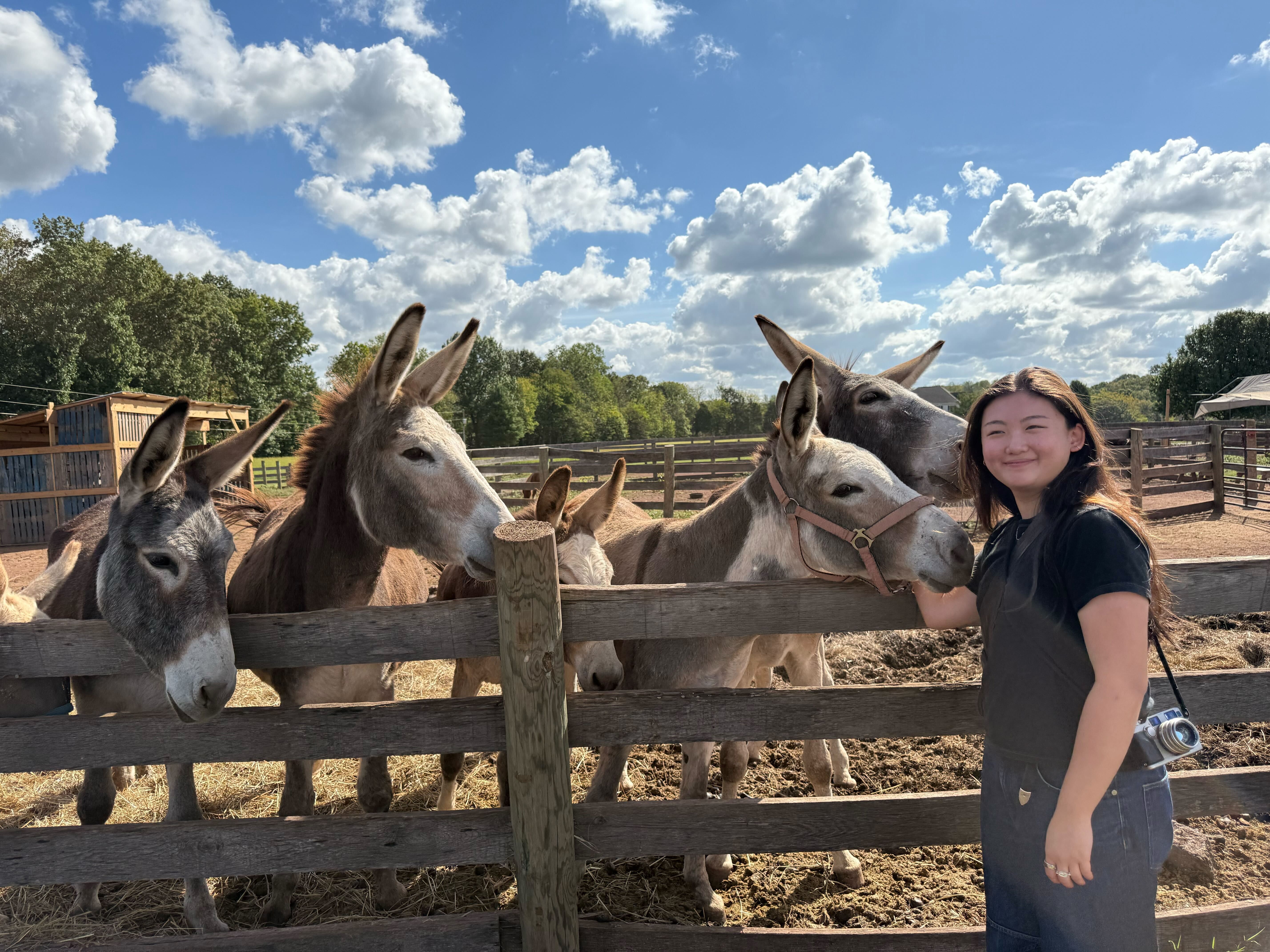 Agribusiness and Agritourism Prince William County