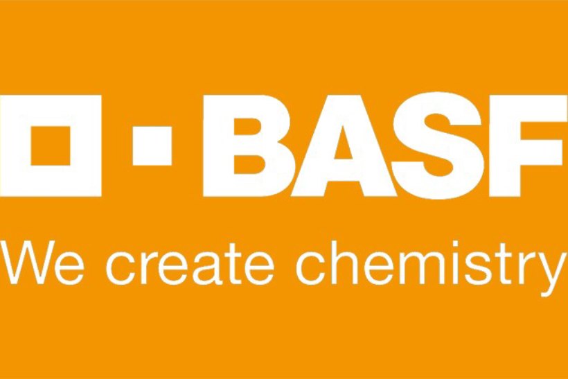 BASF market research